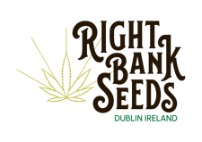 Right Bank Seeds Logo