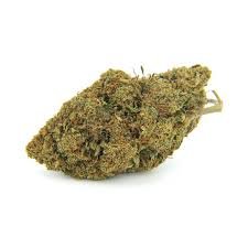 Lemonsilla (Tea, Industrial Hemp, Agricultural Crop)