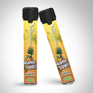 Budtender Incense Sticks 2 Pack Pineapple Express Scent
